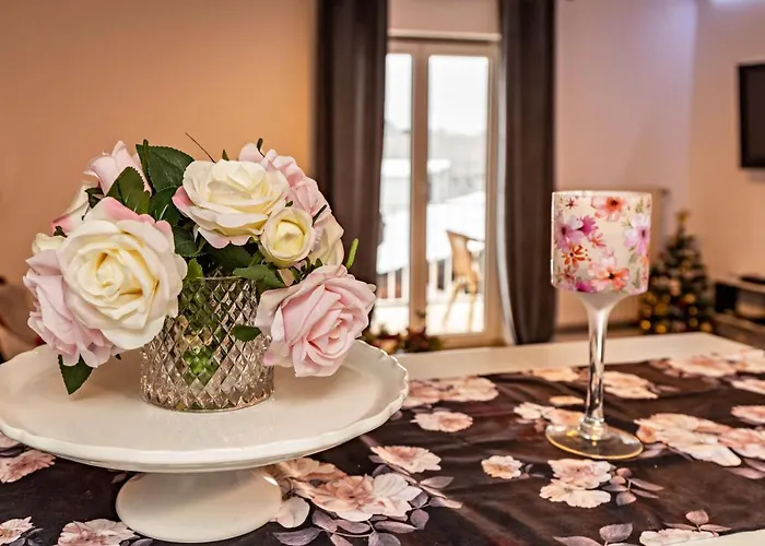 Radolfzell Bodensee 公寓 博登斯边的拉多夫采尔