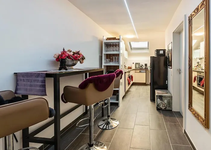 Radolfzell Bodensee * 博登斯边的拉多夫采尔