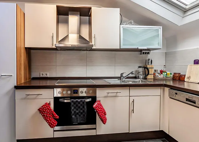 公寓 Radolfzell Bodensee 博登斯边的拉多夫采尔